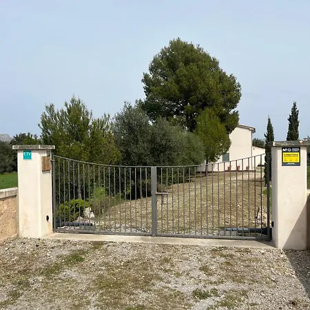 Olivar - La Goleta De Mar & Villa Pollença