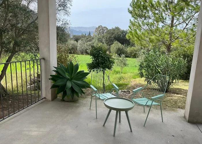 Olivar - La Goleta De Mar &