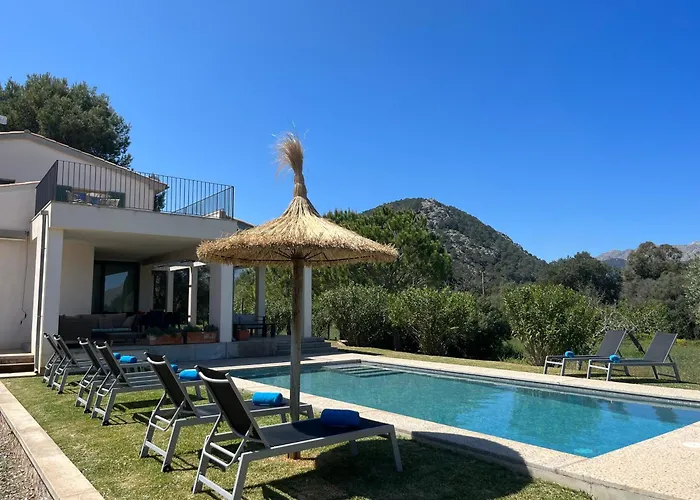 Olivar - La Goleta De Mar & *