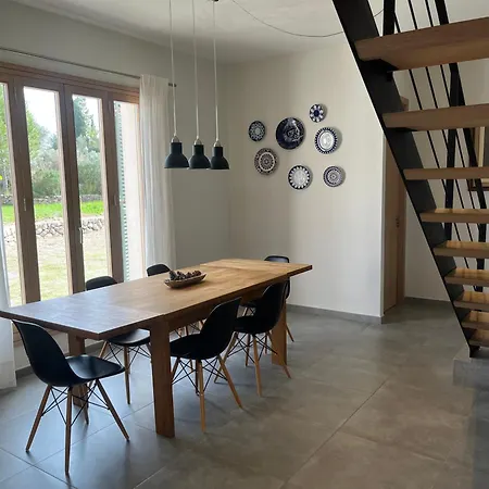 Olivar - La Goleta De Mar &