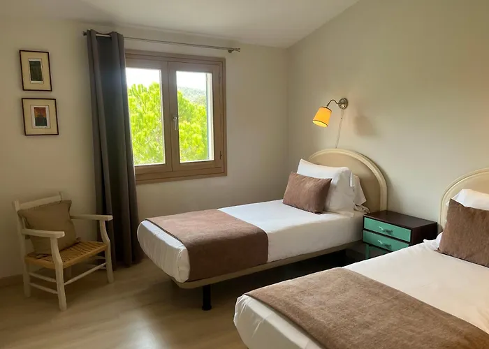 Olivar - La Goleta De Mar & Pollenca