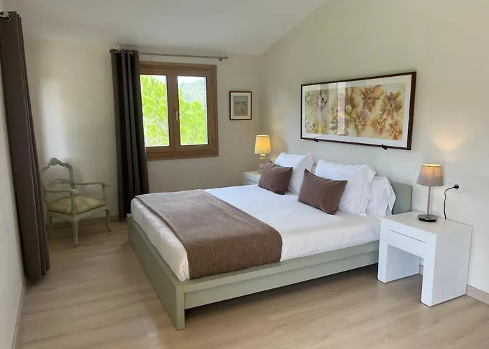 Olivar - La Goleta De Mar & * Pollenca