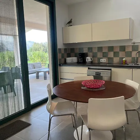 Olivar - La Goleta De Mar &